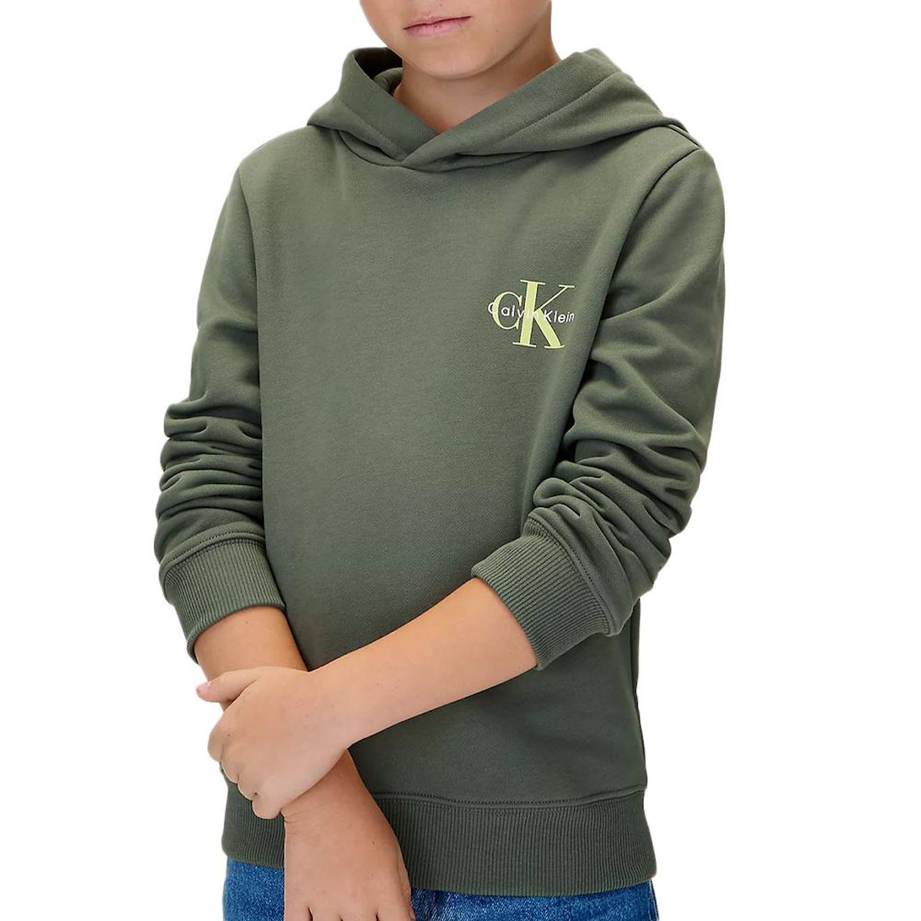 Sweat Garçon À Capuche Small Monogram Vert