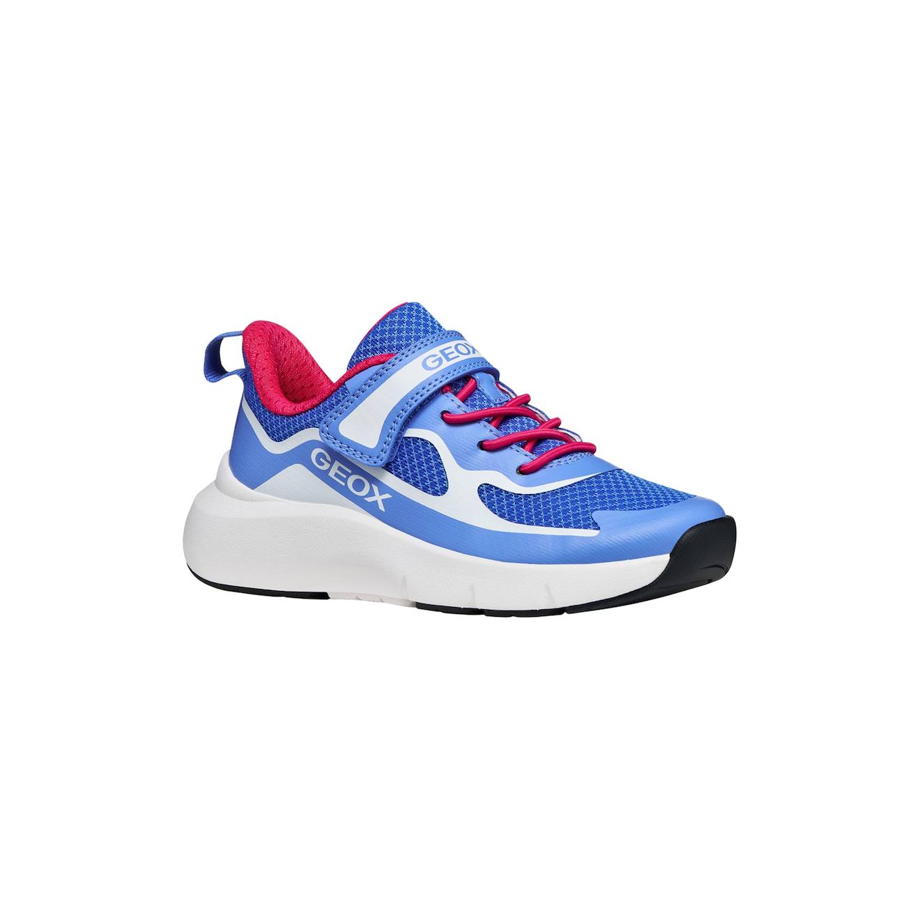 Baskets Basses Scratch Bleu Blanc 39 €