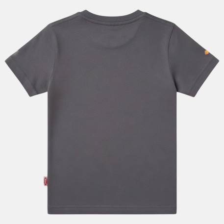 T-shirt manches courtes garçon avec imprimé Blanc+Bleu+Gris+Marine 14 - vertbaudet enfant 