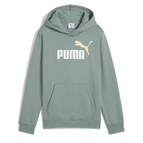 Garçon-Sweat à capuche garçon ess2 color