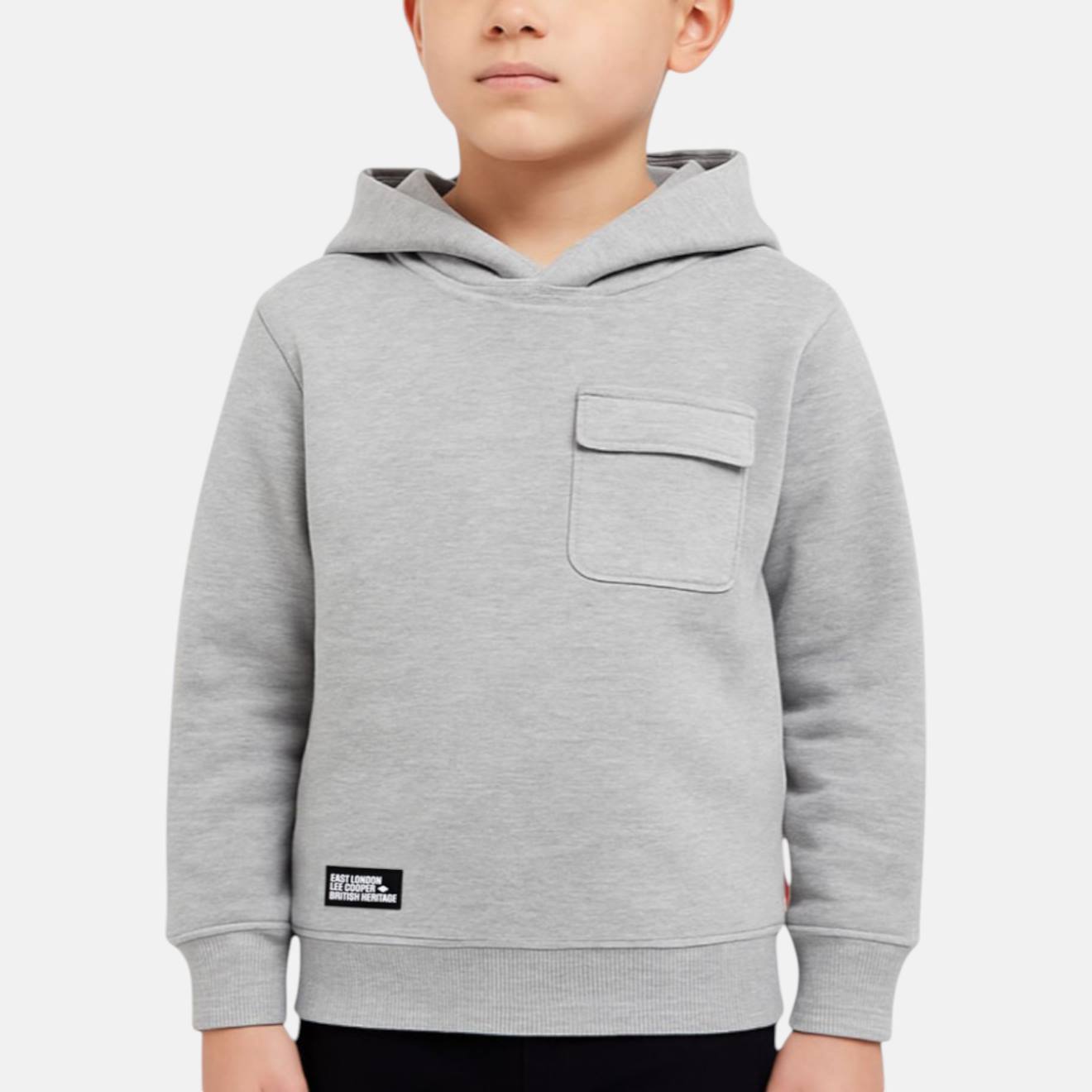 Sweat À Capuche Garçon Imprimé Gris Clair