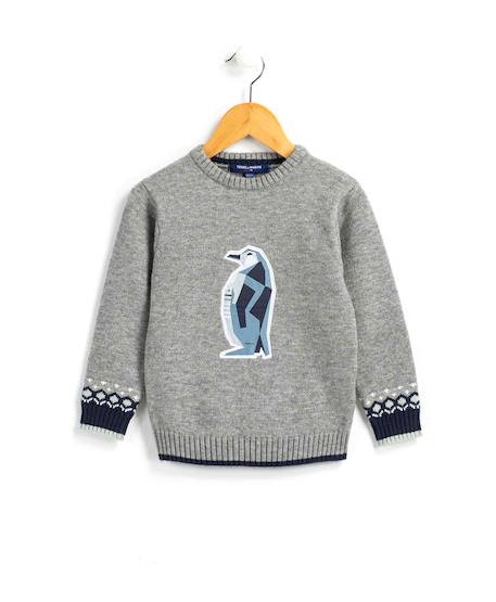 Garçon-Pull garçon