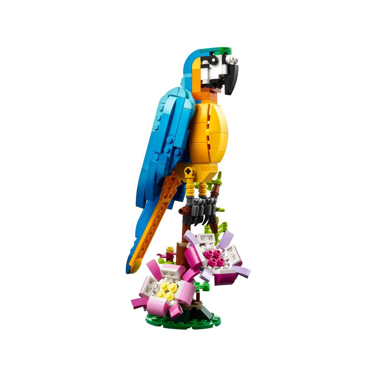 Creator 3 En 1 Le Perroquet Exotique 31136 Multicolore