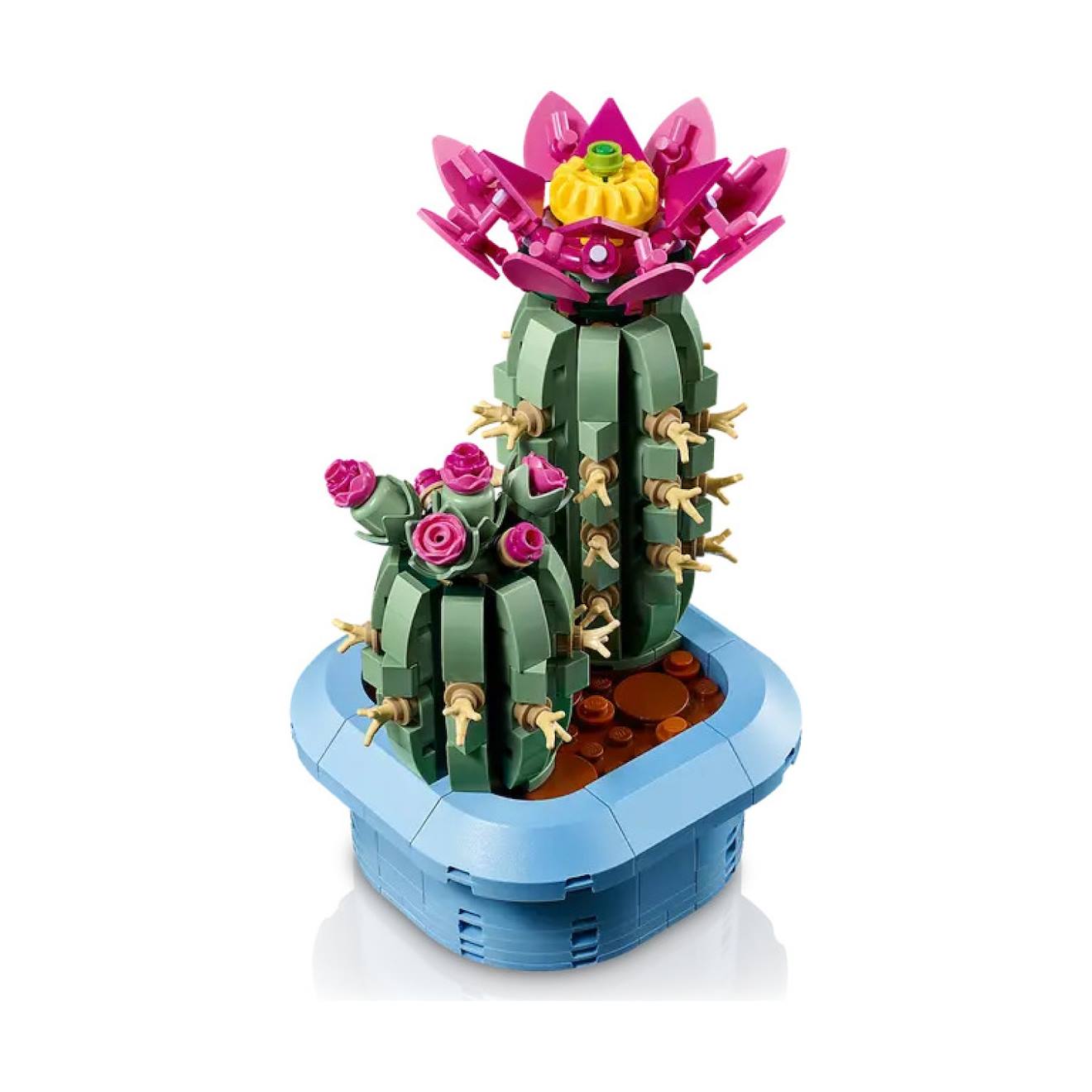 Botanicals Cactus Fleuri 11509 Multicolore