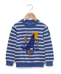 Pull garçon  - vertbaudet enfant