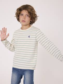Mariniere manches longues 100% coton garçon  - vertbaudet enfant
