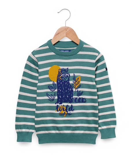 Garçon-Pull, gilet, sweat-Pull garçon