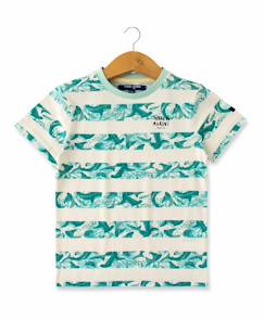 T-shirt manches courtes 100% coton garçon  - vertbaudet enfant