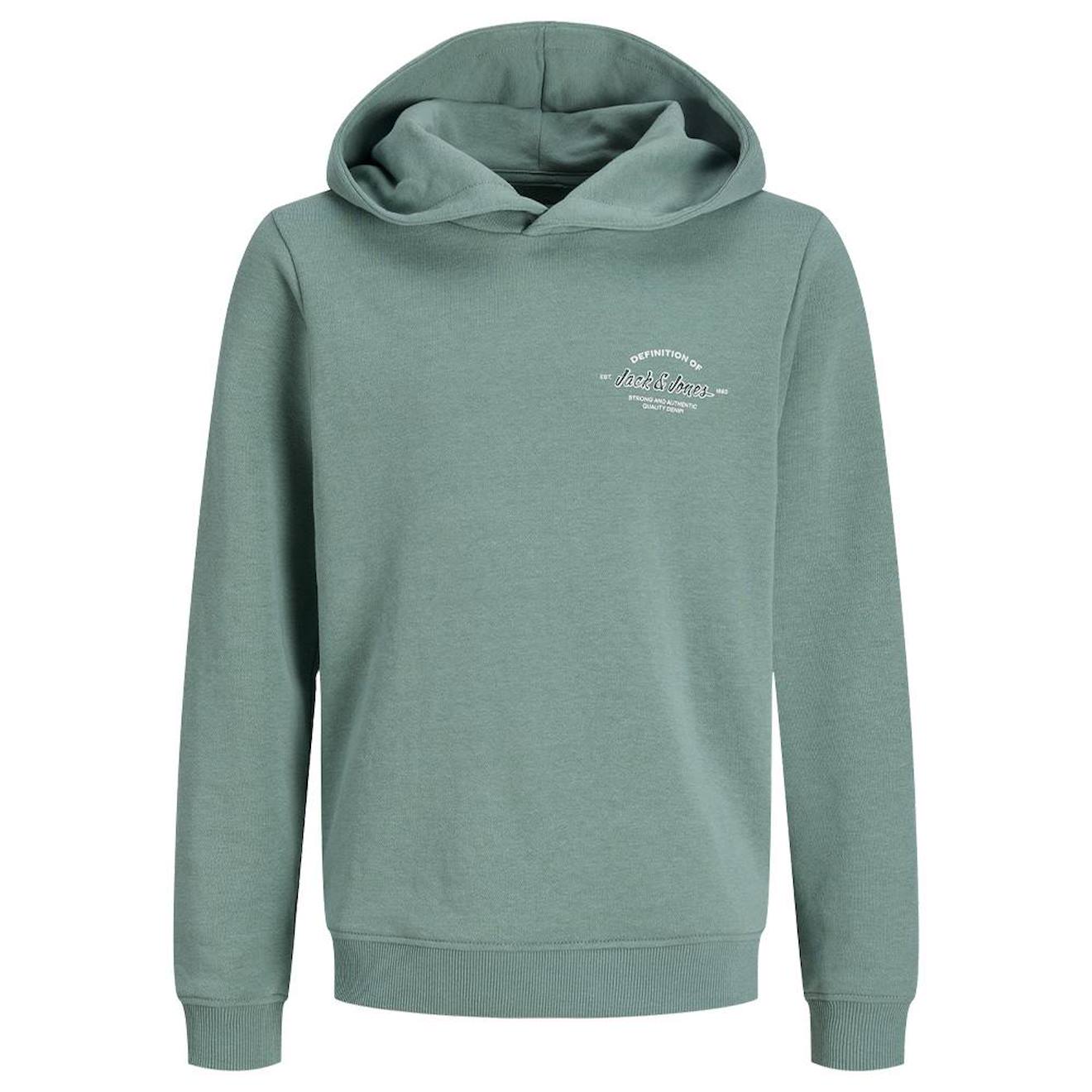 Sweat À Capuche Garçon Brandon Bleu