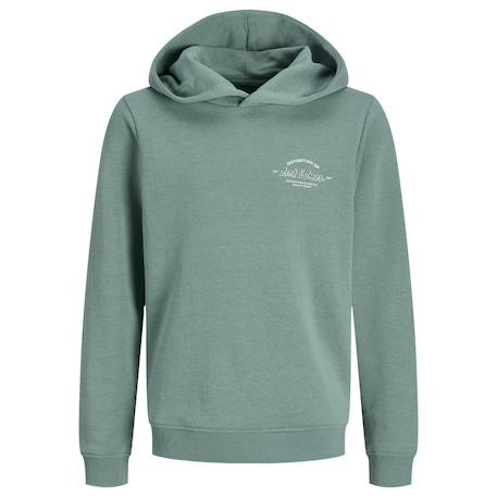 Garçon-Pull, gilet, sweat-Sweat à capuche garçon brandon