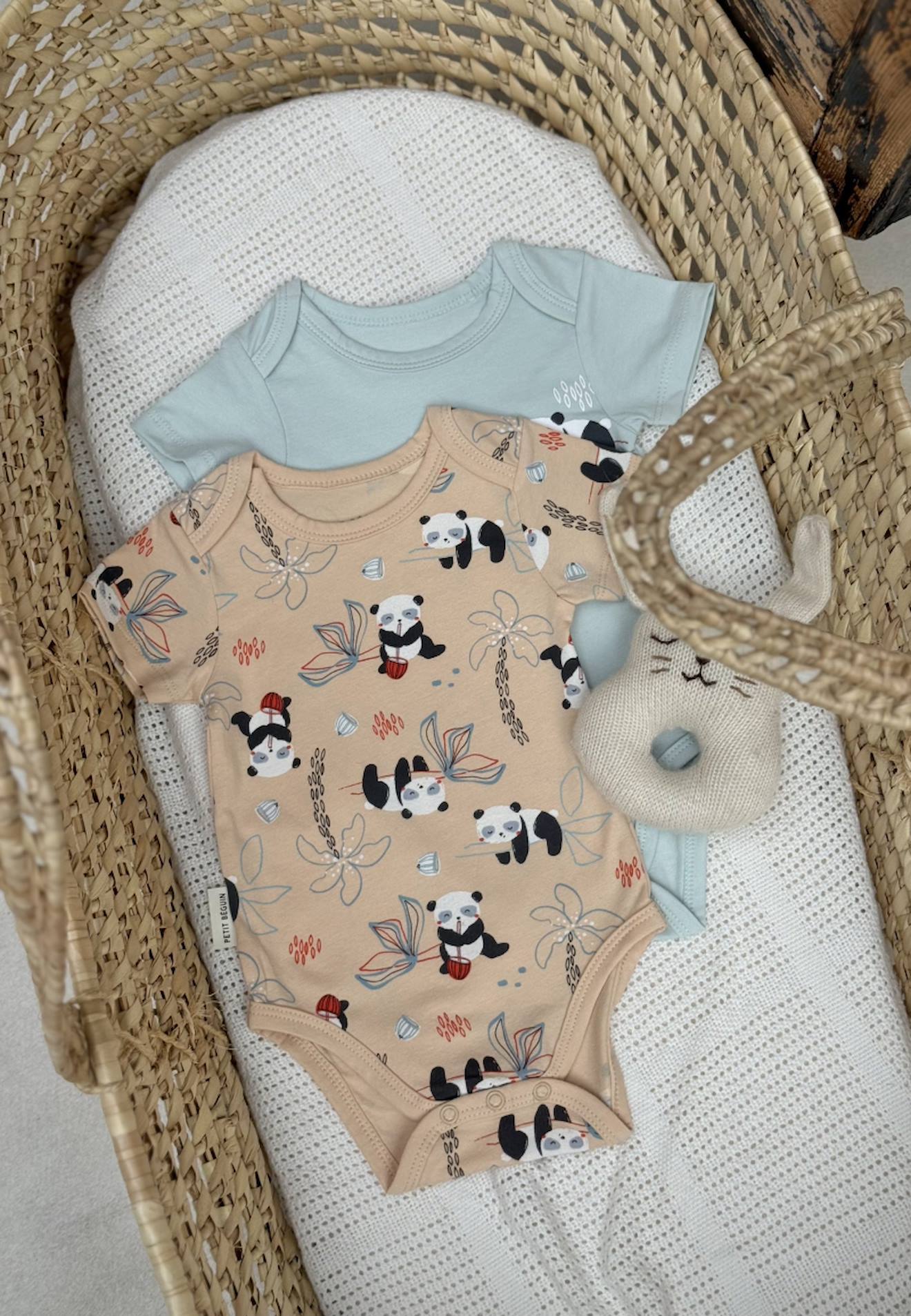 Lot De 2 Bodies Bébé Manches Courtes Bento Vert