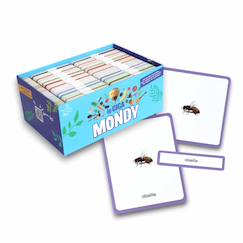 -Giga mondy, 600 cartes de nomenclature montessori