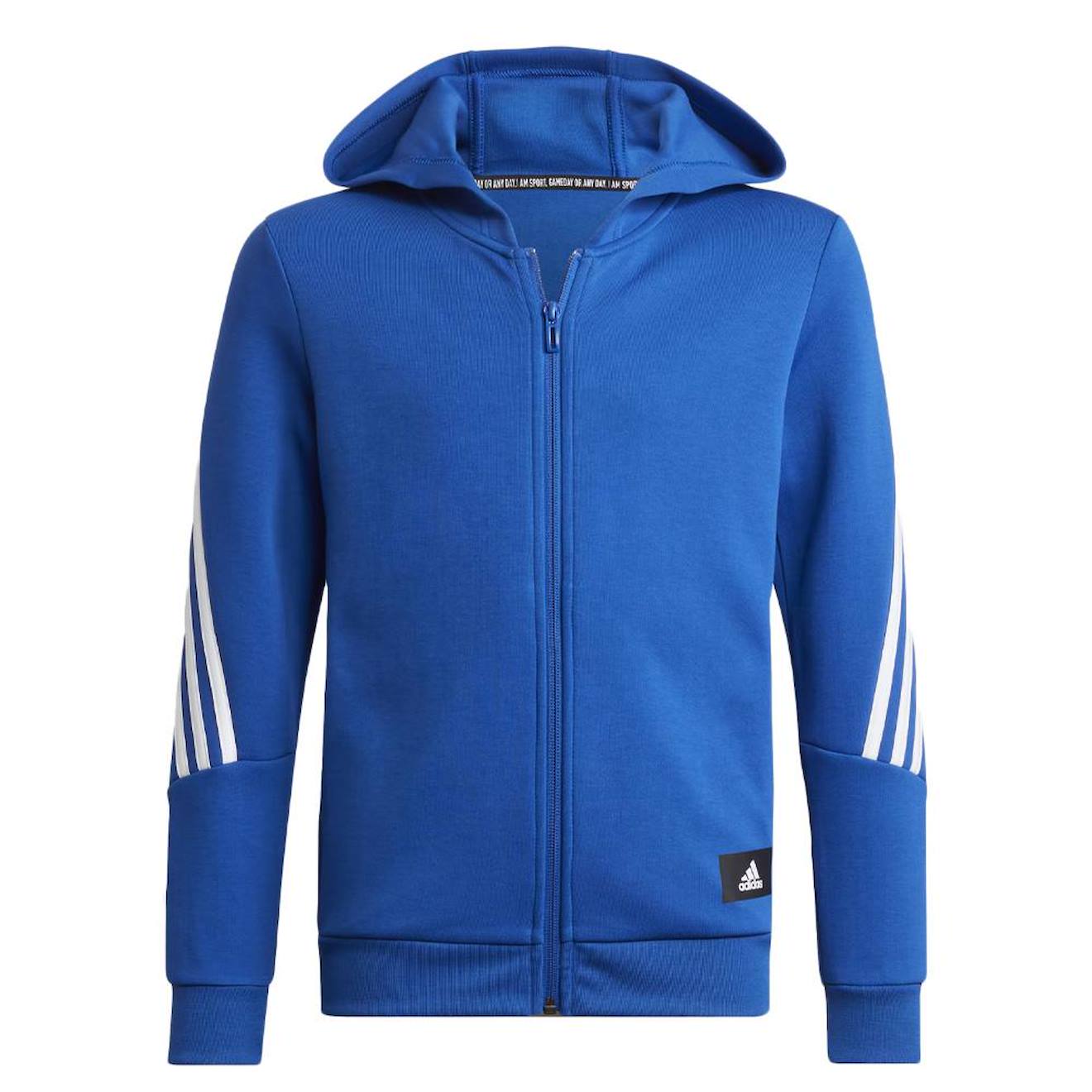 Sweat À Capuche Zippé Garçon Bleu