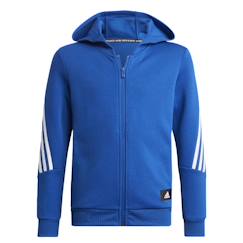 Sweat à capuche zippé garçon  - vertbaudet enfant