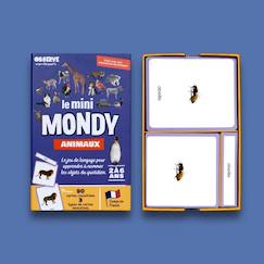 Jouet-Jeux éducatifs-Lire, écrire, compter et heure-Mini-mondy - 90 cartes maison - langage