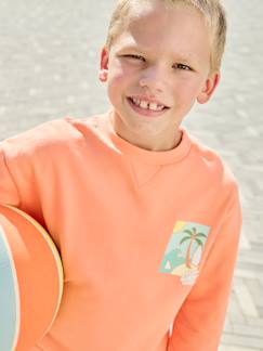 Sweat col rond manches longues  - vertbaudet enfant