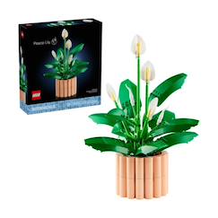Jouet-Botanicals les fleurs de lune 11504