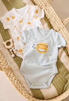 Lot de 2 bodies bébé manches courtes ouverture croisée elio  - vertbaudet enfant