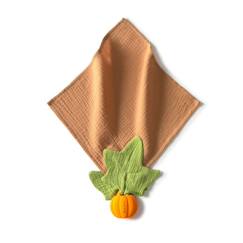 Jouet-Premier âge-Maxi doudou - anneau de dentition - pipa la citrouille
