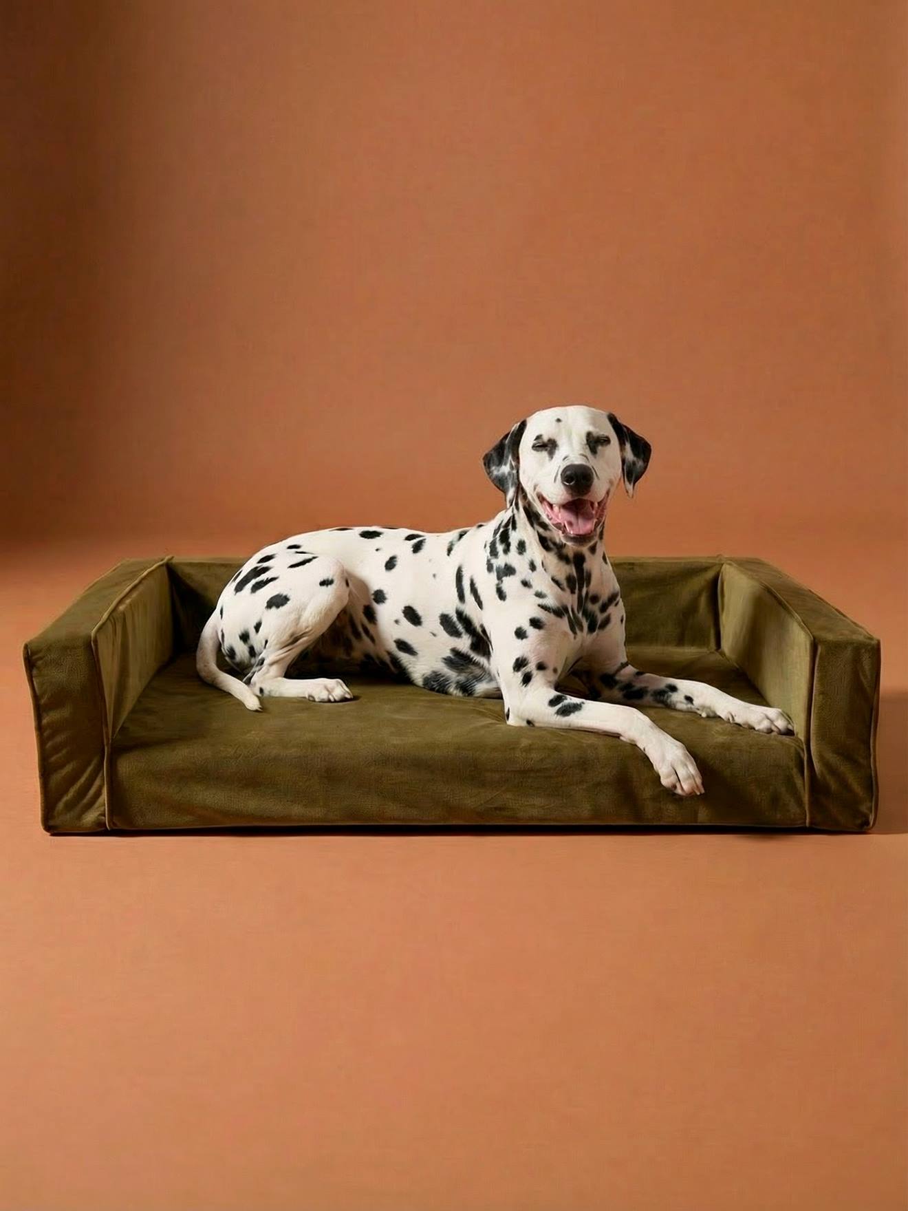 Canapé velours chien grand bronze