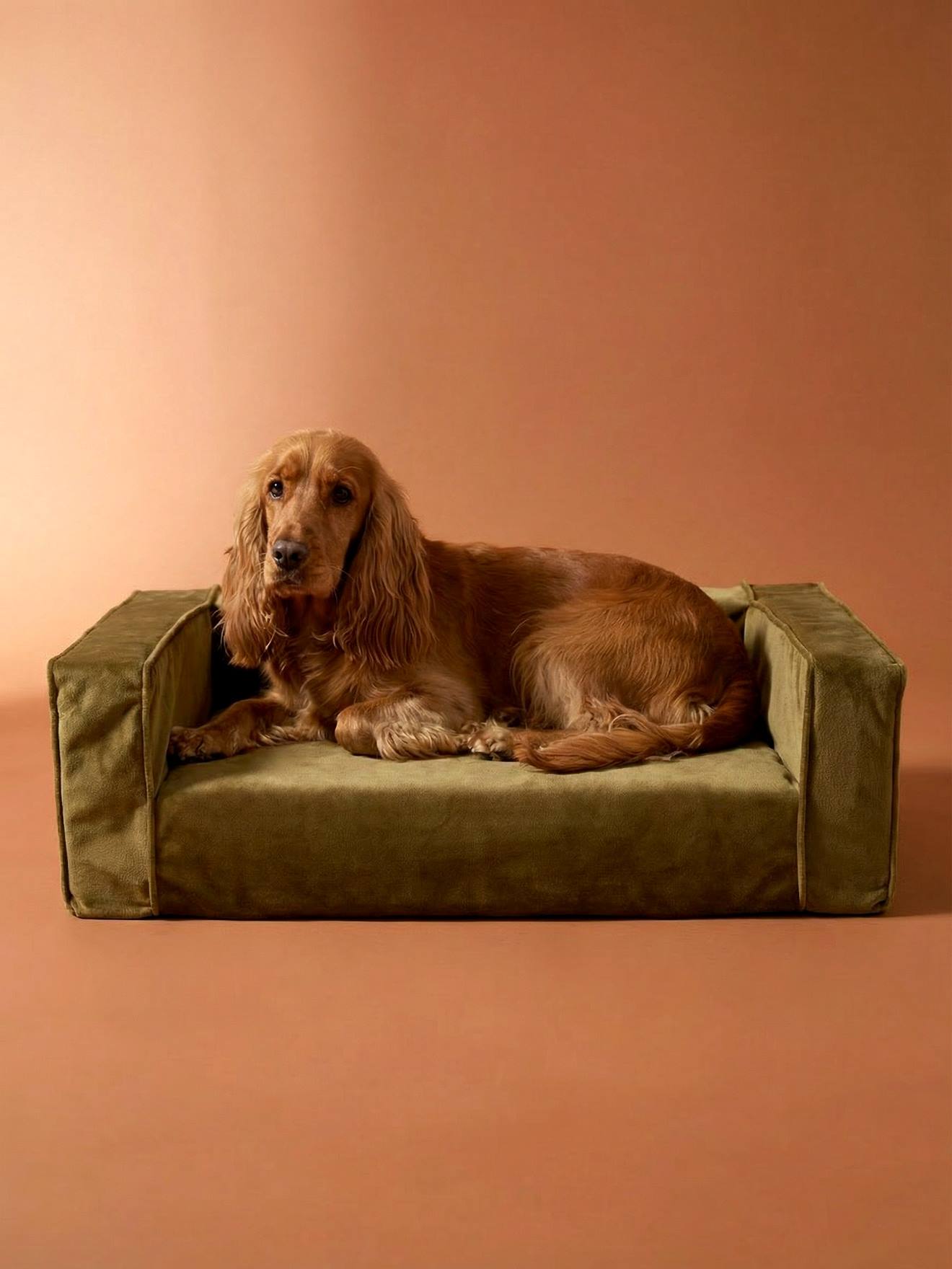 Canapé chien velours moyen bronze Canapé chien velours moyen bronze