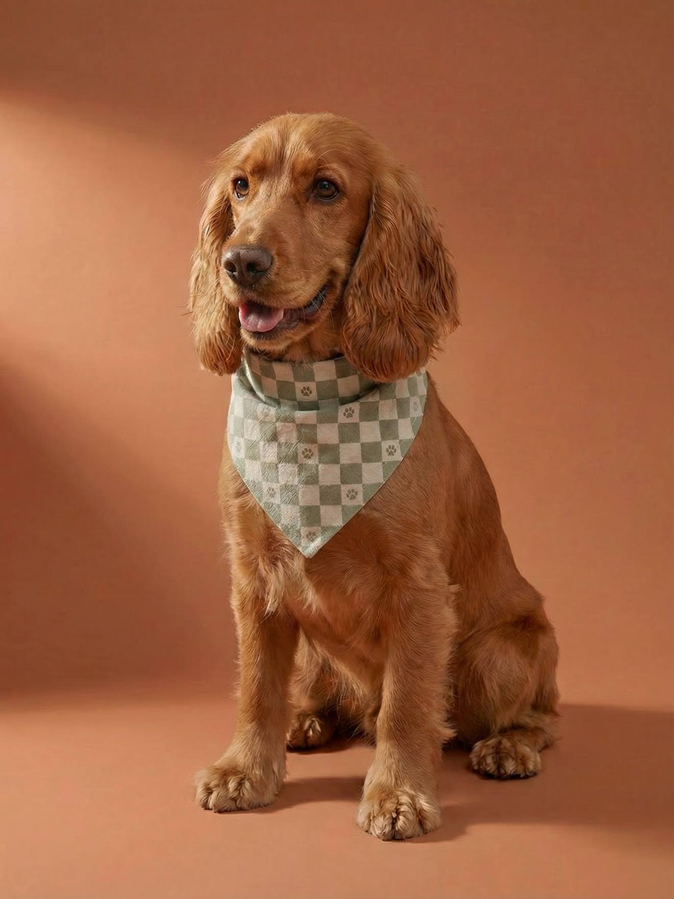 Bandana chien coton blanc imprimé