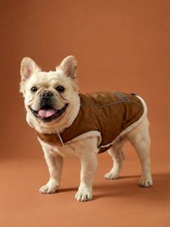 -Manteau imperméable chien