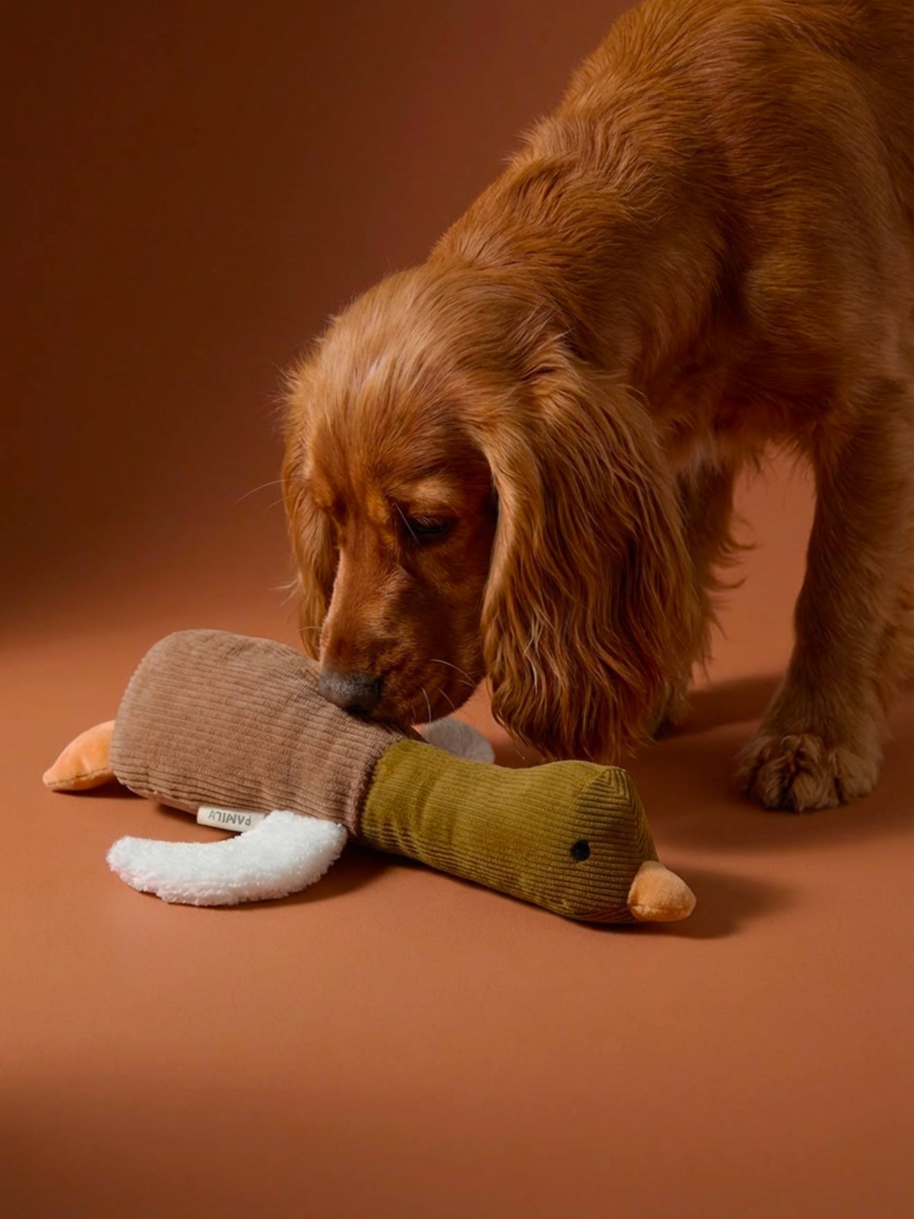 Jouet chien multi textures canard noisette