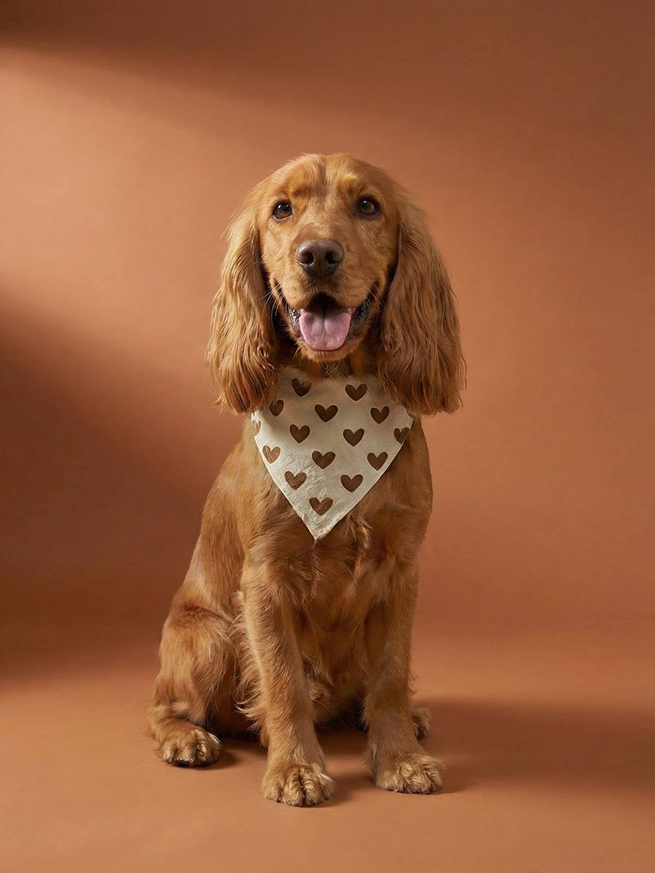 Bandana chien coton marron imprimé