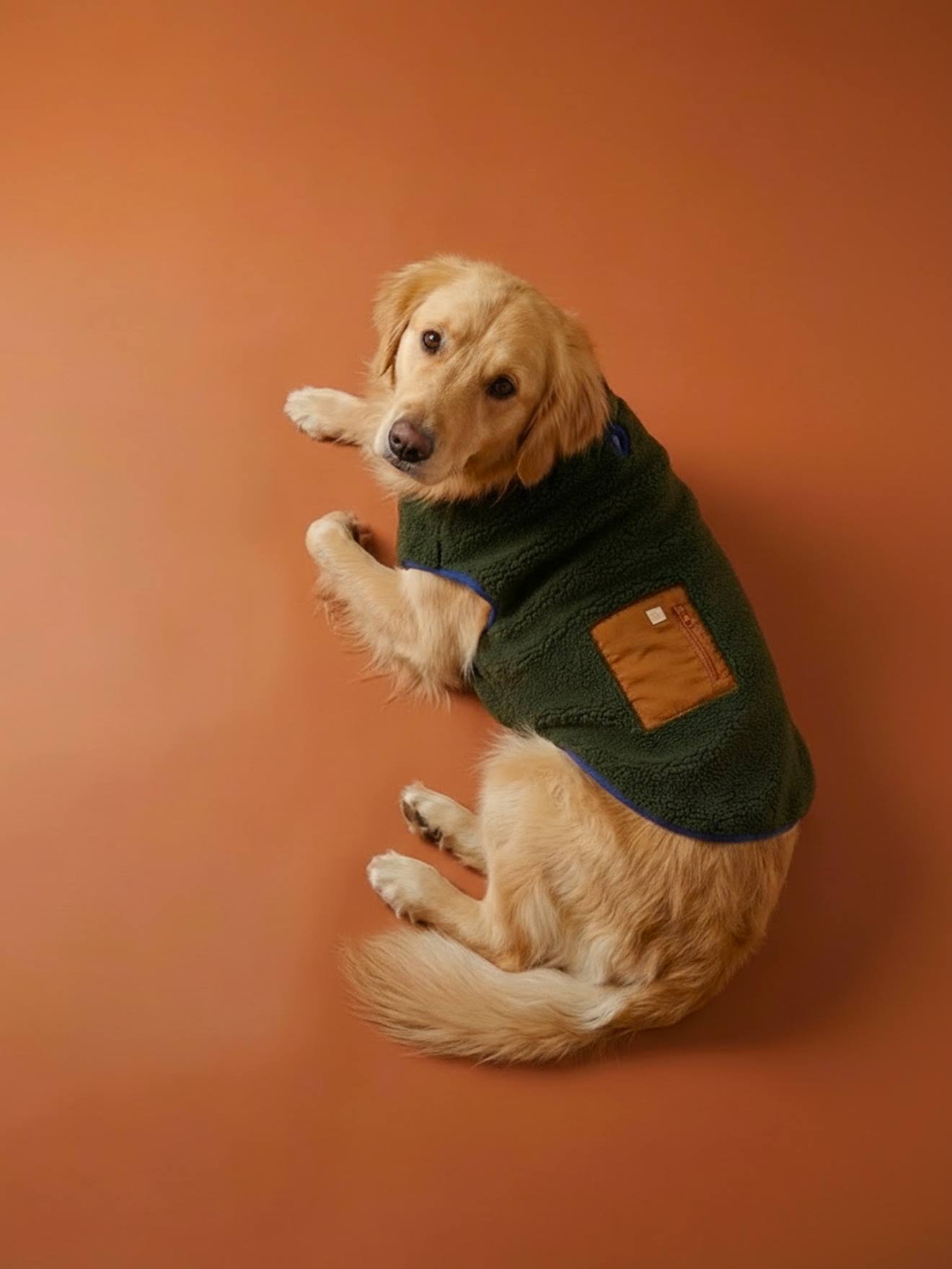 Manteau polaire chien kaki