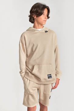Sweat-shirt capuche anibo  - vertbaudet enfant