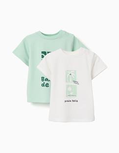 Lot de 2 t-shirts en coton avec imprimés plage  - vertbaudet enfant