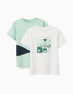 Lot de 2 t-shirts en coton avec imprimés plage  - vertbaudet enfant