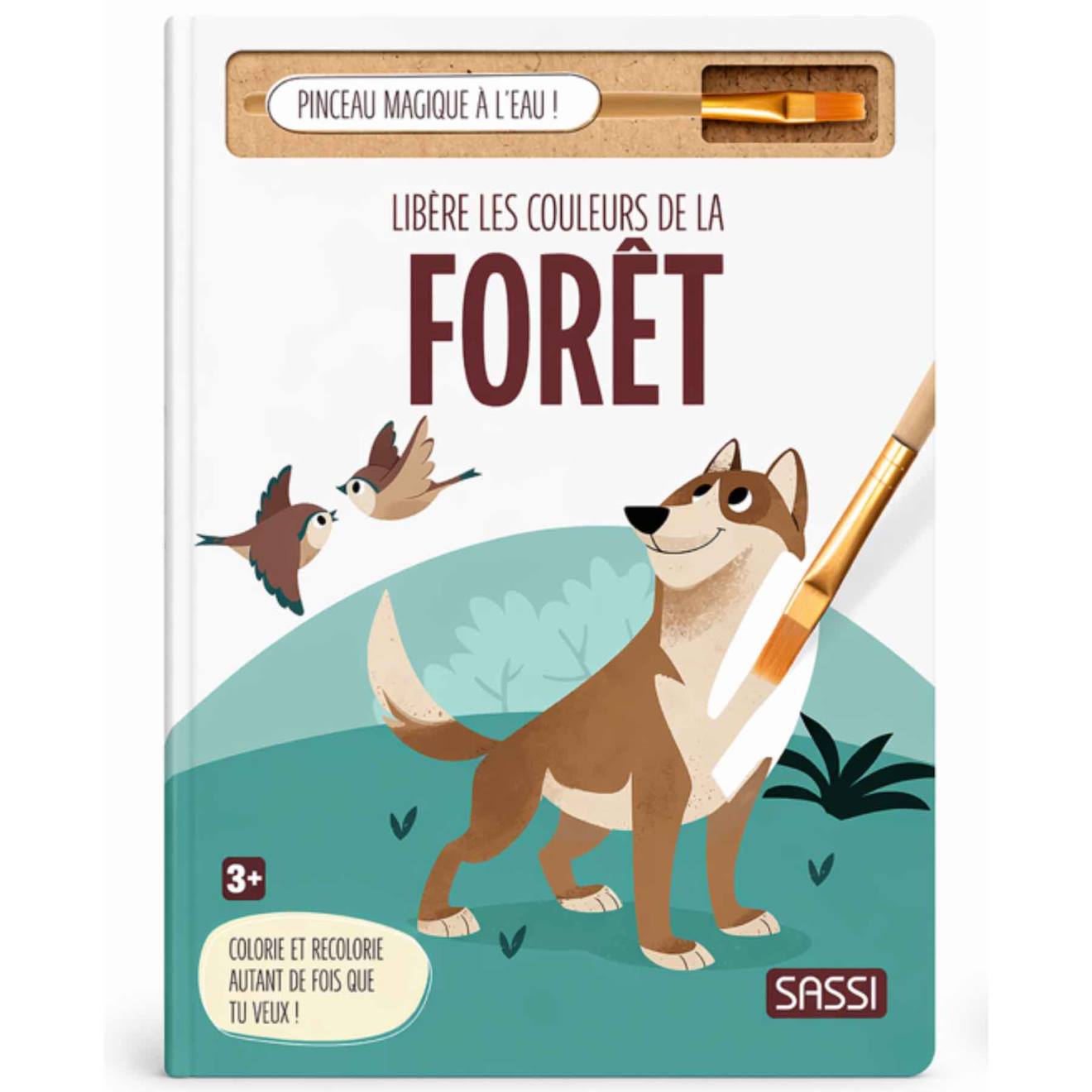 Coloriage À L'eau Pinceau Magique Forêt