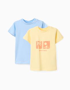Lot de 2 t-shirts en coton avec imprimés d'été  - vertbaudet enfant