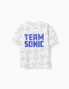 Garçon-T-shirt, polo, sous-pull-T-shirt-T-shirt en coton avec imprimé team sonic