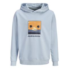 -Sweat à capuche garçon hood