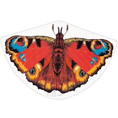Jouet-Jeux de plein air-Cerf-volant papillon paon-du-jour