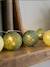 Guirlande boule lumineuse led usb  veilleuse 2h Acajou+Arlequin+Bébé+Byzantin+Chocolat+Coton+Églantine+Flocon+Horizon+Licorne+Mangrove+Messopotamia+Minuit+Océan+Ottoman+Princesse+Provence+Romania+Sauvage+Scandinave+Tagada 81 - vertbaudet enfant 