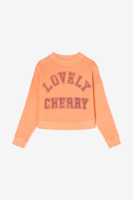 Sweat-shirt stephagi  - vertbaudet enfant