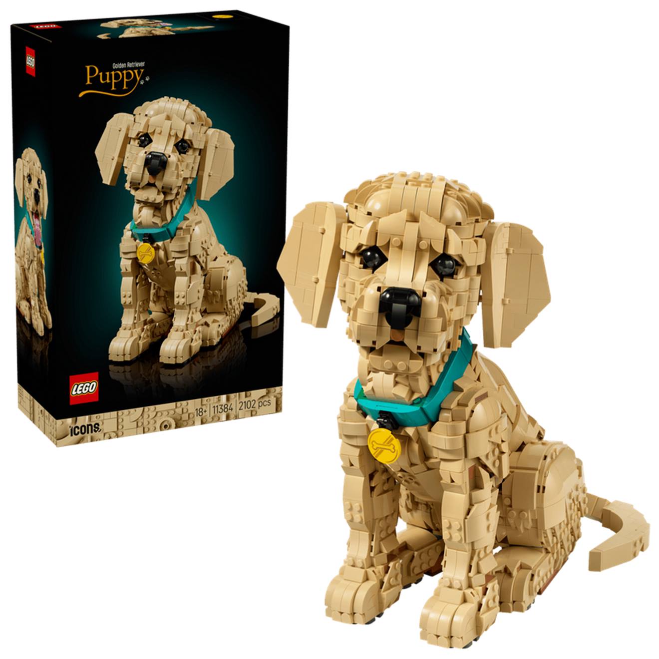 Le Chiot Golden Retriever 11384 Beige