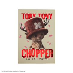 Jouet-Carnet tony tony chopper - one piece