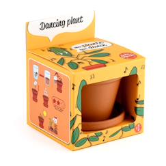 Jouet-Jeux de plein air-Aires de jeux-Autres jeux de jardin-Je fais pousser ma plante qui danse