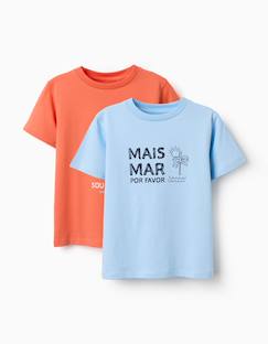 Lot de 2 t-shirts en coton avec imprimés plage  - vertbaudet enfant