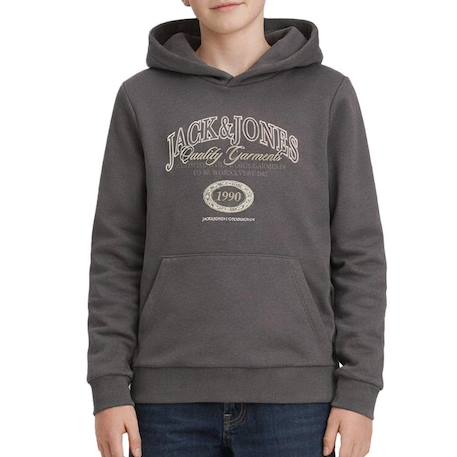 Garçon-Pull, gilet, sweat-Sweat garçon à capuche aris