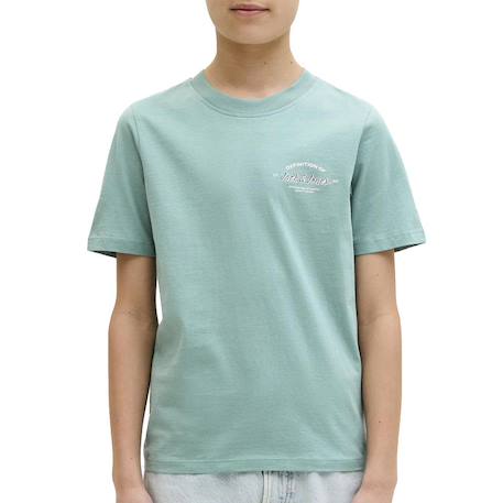 T-shirt garçon manches courtes brandon  - vertbaudet enfant