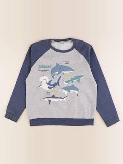 Sweat - 10 ans  - vertbaudet enfant