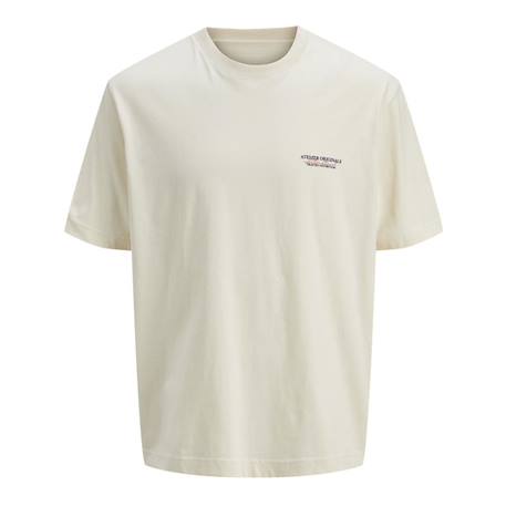 T-shirt garçon manches courtes slington  - vertbaudet enfant
