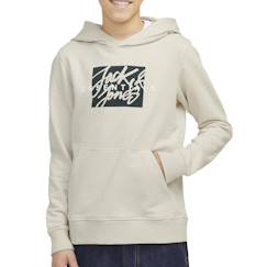 Sweat garçon à capuche colton  - vertbaudet enfant
