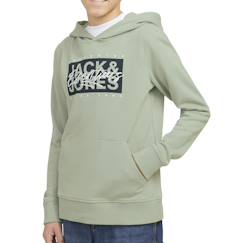 Sweat garçon à capuche colton  - vertbaudet enfant